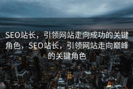 SEO站长，引领网站走向成功的关键角色，SEO站长，引领网站走向巅峰的关键角色
