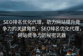 SEO排名优化代理，助力网站提升竞争力的关键角色，SEO排名优化代理，网站竞争力的秘密武器