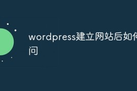wordpress建立网站后如何访问