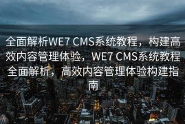 SEO优化代运营，助力企业网络营销的关键策略，SEO优化代运营，企业网络营销的助推器与关键策略