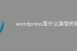 wordpress是什么类型的软件