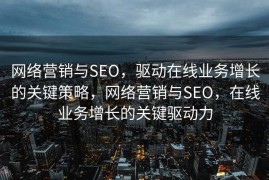 网络营销与SEO，驱动在线业务增长的关键策略，网络营销与SEO，在线业务增长的关键驱动力