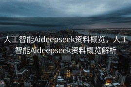人工智能Aideepseek资料概览，人工智能Aideepseek资料概览解析