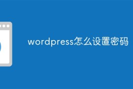 wordpress怎么设置密码