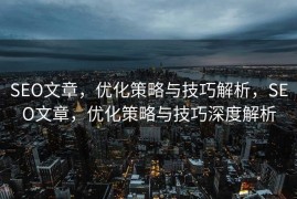 SEO文章，优化策略与技巧解析，SEO文章，优化策略与技巧深度解析