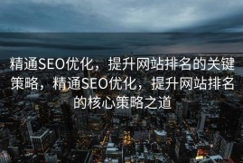 精通SEO优化，提升网站排名的关键策略，精通SEO优化，提升网站排名的核心策略之道