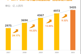 2021中国互联网广告数据报告-2025最新seo资料