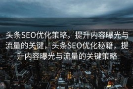 头条SEO优化策略，提升内容曝光与流量的关键，头条SEO优化秘籍，提升内容曝光与流量的关键策略