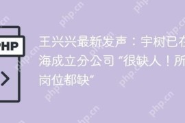 王兴兴最新发声：宇树已在上海成立分公司 “很缺人！所有岗位都缺”