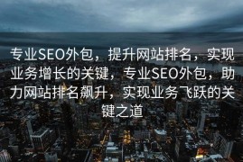 专业SEO外包，提升网站排名，实现业务增长的关键，专业SEO外包，助力网站排名飙升，实现业务飞跃的关键之道