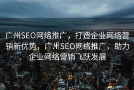 广州SEO网络推广，打造企业网络营销新优势，广州SEO网络推广，助力企业网络营销飞跃发展