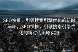 SEO快推，引领搜索引擎优化的新时代策略，SEO快推，引领搜索引擎优化的新时代策略实践