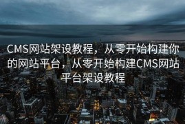 CMS网站架设教程，从零开始构建你的网站平台，从零开始构建CMS网站平台架设教程