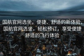 国航官网选坐，便捷、舒适的新体验，国航官网选坐，轻松预订，享受便捷舒适的飞行体验