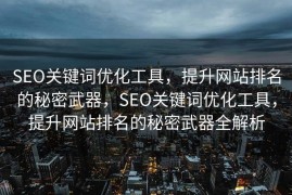 SEO关键词优化工具，提升网站排名的秘密武器，SEO关键词优化工具，提升网站排名的秘密武器全解析