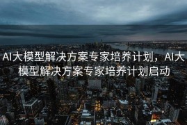 AI大模型解决方案专家培养计划，AI大模型解决方案专家培养计划启动