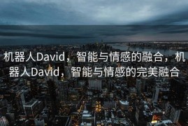 机器人David，智能与情感的融合，机器人David，智能与情感的完美融合
