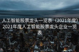 人工智能股票龙头一览表（2021年度）2021年度人工智能股票龙头企业一览表