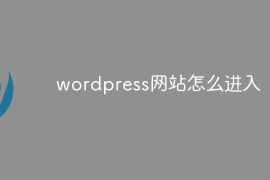 wordpress网站怎么进入