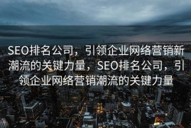 SEO排名公司，引领企业网络营销新潮流的关键力量，SEO排名公司，引领企业网络营销潮流的关键力量