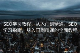 SEO学习教程，从入门到精通，SEO学习指南，从入门到精通的全面教程