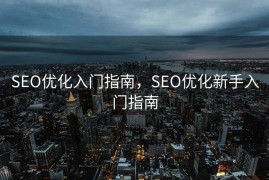SEO优化入门指南，SEO优化新手入门指南