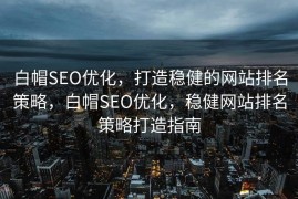 白帽SEO优化，打造稳健的网站排名策略，白帽SEO优化，稳健网站排名策略打造指南