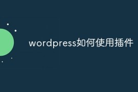 wordpress如何使用插件
