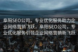 阜阳SEO公司，专业优化服务助力企业网络营销飞跃，阜阳SEO公司，专业优化服务引领企业网络营销新飞跃