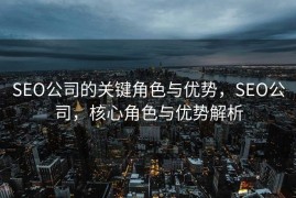 SEO公司的关键角色与优势，SEO公司，核心角色与优势解析