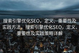 搜索引擎优化SEO，定义、重要性及实践方法，搜索引擎优化SEO，定义、重要性及实践策略详解