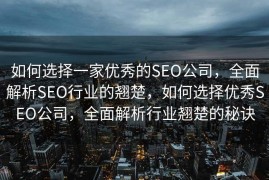 如何选择一家优秀的SEO公司，全面解析SEO行业的翘楚，如何选择优秀SEO公司，全面解析行业翘楚的秘诀