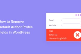 如何删除 WordPress 中的默认作者个人资料字段