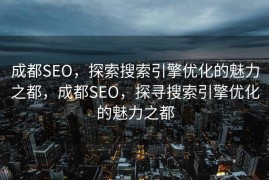 成都SEO，探索搜索引擎优化的魅力之都，成都SEO，探寻搜索引擎优化的魅力之都