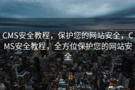 CMS安全教程，保护您的网站安全，CMS安全教程，全方位保护您的网站安全
