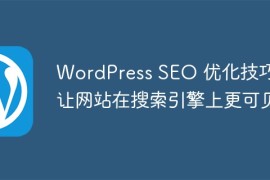 WordPress SEO 优化技巧：让网站在搜索引擎上更可见