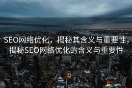 SEO网络优化，揭秘其含义与重要性，揭秘SEO网络优化的含义与重要性