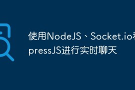 使用NodeJS、Socket.io和ExpressJS进行实时聊天