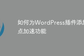 如何为WordPress插件添加站点加速功能