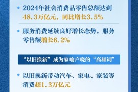 商务部：2024年社会消费品零售总额达到48.3 万亿元 同比增长 3.5%-2025最新seo资料