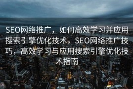 SEO网络推广，如何高效学习并应用搜索引擎优化技术，SEO网络推广技巧，高效学习与应用搜索引擎优化技术指南
