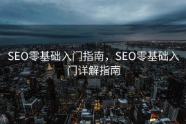 SEO零基础入门指南，SEO零基础入门详解指南