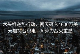 木头姐逆势行动，两天砸入4600万美元加持台积电，AI算力战火重燃
