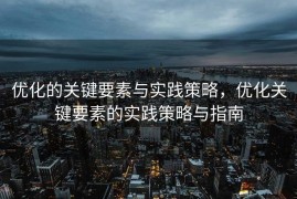 优化的关键要素与实践策略，优化关键要素的实践策略与指南