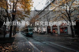 AI的双标现象，探究背后的原因与解决方案