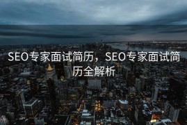 SEO专家面试简历，SEO专家面试简历全解析
