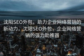沈阳SEO外包，助力企业网络营销的新动力，沈阳SEO外包，企业网络营销的强力助推器