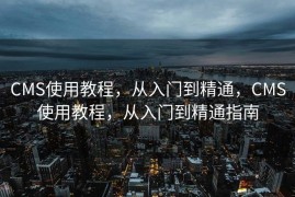 CMS使用教程，从入门到精通，CMS使用教程，从入门到精通指南