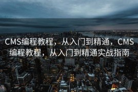 CMS编程教程，从入门到精通，CMS编程教程，从入门到精通实战指南