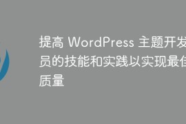 提高 WordPress 主题开发人员的技能和实践以实现最佳质量